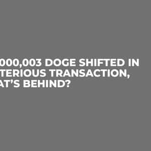 300,000,003 DOGE Shifted in Mysterious Transaction, What’s Behind?