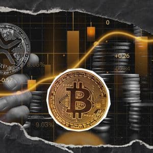 'Time to Look Away': Bitcoin Price Outlook Update by Top XRP Trader Reveals Brutal Truth