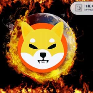Coinbase User Executes Biggest Shiba Inu Burn in Nearly 3 Months