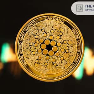 Here Is Cardano Price If Team Burns Half of ADA Supply
