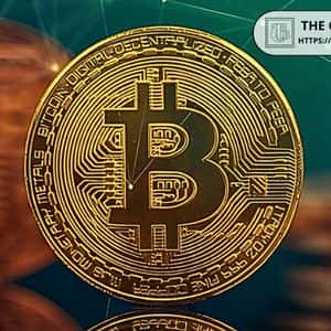 Ex-Trump Crypto Advisor: I Feel Sorry for People Selling Their Bitcoin