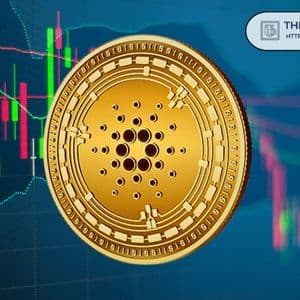 Here’s the Closest Major Buy Zone for Cardano