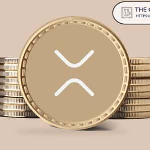 Here’s How High XRP Could Reach if Treasury Companies Amass 15% of XRP’s Supply