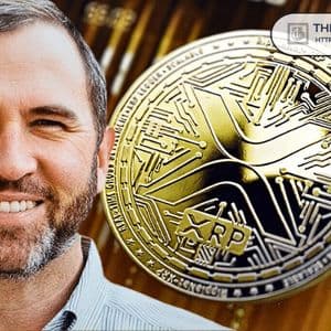 Ripple CEO Says XRP Is Our North Star: ‘We Care Deeply’
