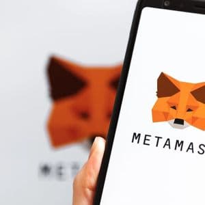 MetaMask and Phantom Team Up With SEAL to Fight Crypto Scams