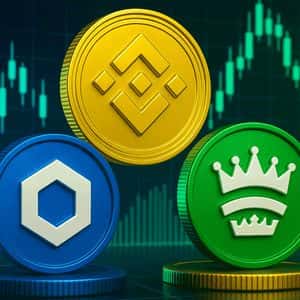 BNB vs. Zexpire vs. Chainlink: Which Altcoin Could Make It To The Top