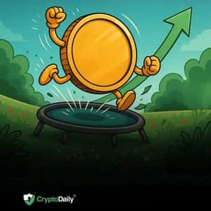 Altcoins Bounce After Bloodbath Collapse: Relief Rally or Real Recovery? Market Analysis