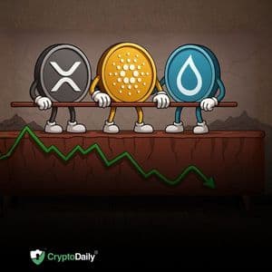 Ripple (XRP), Cardano (ADA), & Sui (SUI) at Key Support: Buy the Dip Now?