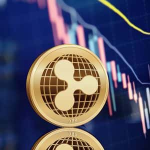 Seasoned Trader Warns of Potentials for Cryptocurrency Market