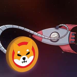 SHIB Significantly Boosts Burn Rate While Sending a Supportive Message