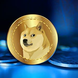 Dogecoin Shows Resilience: Will It Secure the $0.30 Mark?