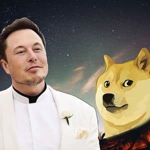 DOGE’s Price Resurgence Inspires Bold Market Activity