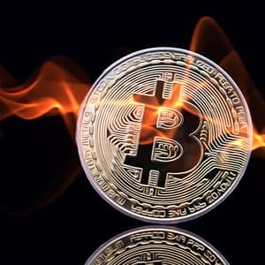 CryptoAppsy Empowers You with Real-Time Crypto Insights