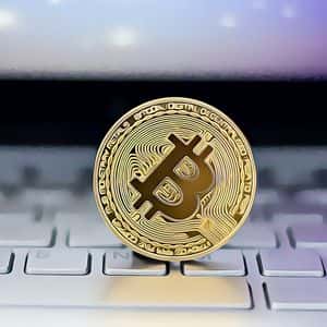 Bitcoin Leads the Way With Record-Breaking Gains