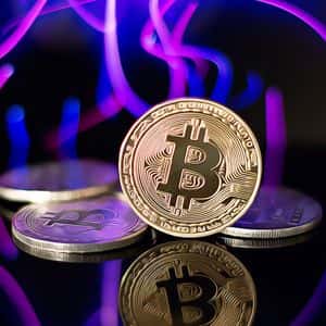 Whales Surge: Massive Bitcoin Purchases Signal Market Optimism