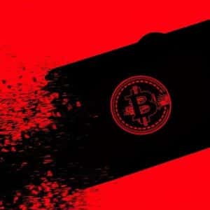 Fold to Launch Bitcoin Credit Card with Visa and Stripe