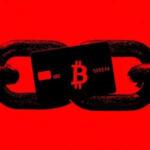 Citi Backs Stablecoin Infrastructure Firm BVNK Amid Growing Blockchain Adoption