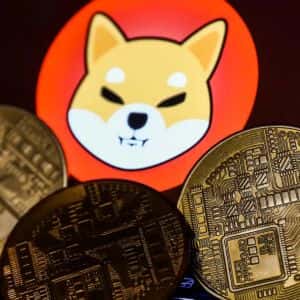 Hacker Attack on Shiba Inu (SHIB) Network: Developers Issue Statement