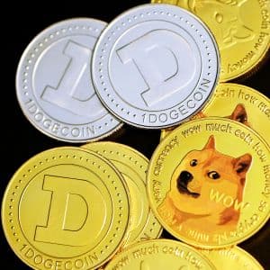 Critical Application for Dogecoin (DOGE) Following the Latest SEC Decision