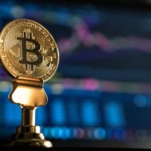 Crypto Exchange Officials Talked About What They Expect for Bitcoin Going Forward