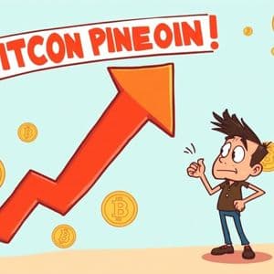 Urgent Bitcoin Price Drop: BTC Plummets Below $113,000