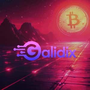 Galidix expands support team, boosting customer capabilities