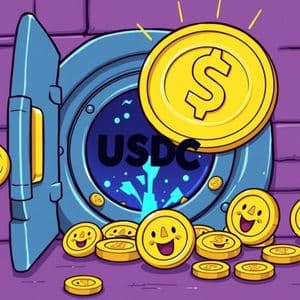 Massive USDC Burn: What It Means for Stablecoin Stability