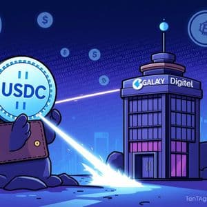 Massive Galaxy Digital USDC Transfer: Unpacking a $319 Million Whale Move