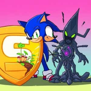 Sonic Security Mechanism: Urgent Activation Safeguards Against Beets Exploit